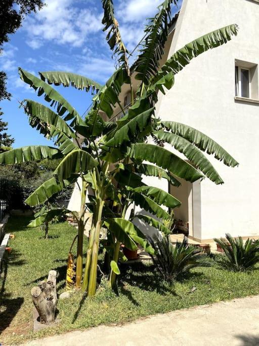 Casa Woow Carini Exterior foto